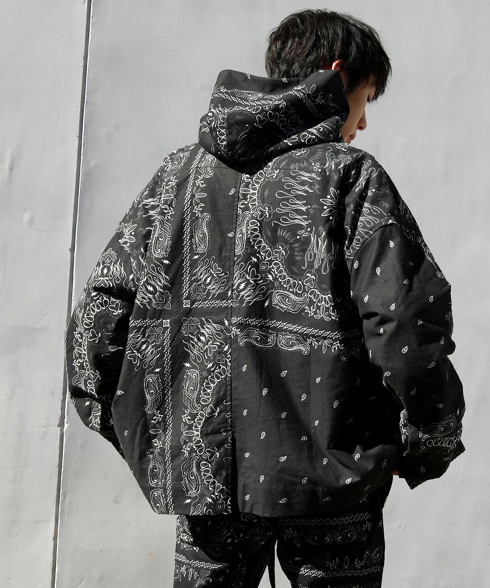 TAIN DOUBLE PUSH ］TAIN PAISLEY SHIRTS | OPENING ACT